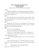 De HSG Hoa  9 V10809