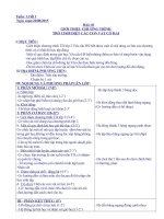 Bai 4 Dan hang ngang don hang  Tro choi Nhanh len ban oi