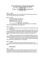 De va goi y giai mon Van tuyen sinh 10 TP Ho Chi Minh