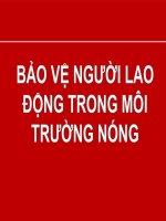 BẢO vệ NGƯỜI LAO ĐỘNG TRONG môi TRƯỜNG NÓNG (y học môi TRƯỜNG và LAO ĐỘNG) (chữ biến dạng do slide dùng font VNI times, tải về xem bình thường) 