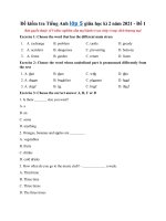 Tải Đề kiểm tra Tiếng Anh lớp 5 giữa học kì 2 năm 2021 - Đề 1 - Đề kiểm tra giữa kì 2 lớp 5 môn Tiếng Anh