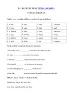 Tải Bài tập cuối tuần tiếng Anh lớp 6 Tuần 6 - Phiếu bài tập cuối tuần 6 tiếng Anh 6 mới có đáp án