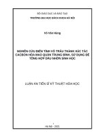 Nghiên cứu biến tính vỏ trấu thành xúc tác cacbon hóa mao quản trung bình, sử dụng để tổng hợp dầu nhờn sinh học 