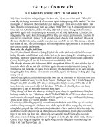 Tac hai cua bom min 03