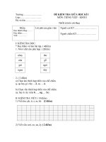 De Kiem tra giua ky ITieng Viet lop 1