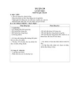 giao an phu dao buoi chieu  lop 2 Tuan 29