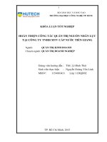 Hoàn thiện công tác quản trị nguồn nhân lực tại công ty TNHH MTV cấp nước tiền giang 