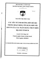 Các yếu tố ảnh hưởng đến rủi ro trong hoạt động tín dụng đối với DNVVN của các ngân hàng TMCP trên địa bàn tp HCM 