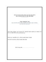 Xây dựng quy trình nhân giống in vitro cây cúc lá nhỏ pico chrysanthemum sp 