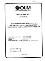 Determinants of real estate salespeople jobs satisfaction the case of dat xanh group vietnam 