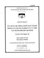 Xây dựng hệ thống kiểm soát nội bộ trong các doanh nghiệp vừa và nhỏ tại tp HCM 