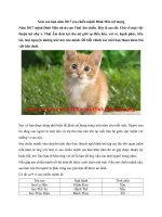 Tải Xem sao hạn năm 2017 sao chiếu mệnh Đinh Mão nữ mạng - Xem sao hạn Đinh Mão nữ mạng năm Đinh Dậu 2017