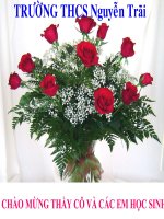 Bai 6 Don chat va hop chat  Phan tu