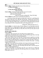 ĐỀ THI HỌC SINH GIỎI NGỮ VĂN LỚP 9