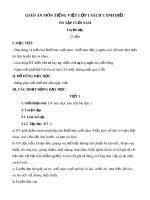 Giáo án môn Tiếng Việt lớp 1 sách Cánh Diều - Bài ôn tập cuối năm