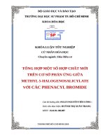 luận văn HCMUP tổng hợp một số hợp chất mới trên cơ sở phản ứng giữa methyl 5  halogenosalicylate với các phenacyl bromide 