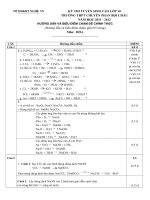 Dap an THPT chuyen Phan Boi Chau 20112012