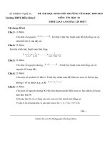 De thi HSG truong mon Tin hoc 10  nam 20092010