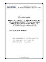 Phân lập và khảo sát hoạt tính sinh học của photorhabdus spp và xenorhabdus spp từ heterorhabditis indica và steinernema guangdongense 