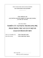 Nghiên cứu tận dụng thanh long phụ phẩm trong việc sản xuất một số loại sản phẩm lên men 