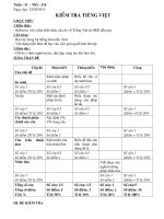 Bai 17 Kiem tra Tieng Viet