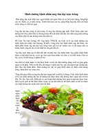 Tải Dinh dưỡng bệnh nhân ung thư đại trực tràng - Chế độ ăn uống cho bệnh ung thư đại trực tràng