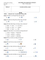 kiem tra dinh ki cuoi ki 2  tin hoc lop 5