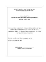 Nghiên cứu các yếu tố ảnh hưởng đến quá trình trích ly tinh dầu bạch đàn trắng eucalyptus camaldulensis dehnh xác định thành phần hóa học và khảo sát hoạt tính kháng khuẩn 