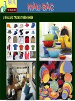 bài 10 màu sắc  mỹ thuật 6  hán hải anh  thư viện giáo dục bắc ninh