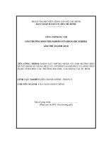 Khảo sát những nhân tố ảnh hưởng đến quyết định sử dụng dịch vụ internet banking của sinh viên đang theo học các trường đại học cao đẳng tại TP HCM 