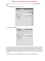 Bai 29 Su dung Color effect tt