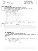 DE KT CUOI HK2  TIENG VIET LOP 220122013De 3