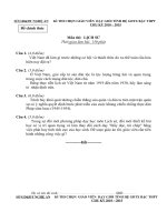 DEDA THI GVG TINH NA 2010  MON SU