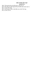 De kiem tra Hoc ky ISu lop 6 5 le