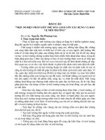 BAO CAO DAN VAN  KHEO MOT SO BIEN PHAP GIUP TRE MAU GIAO LON XAY DUNG VA BAO VE MOI TRUONG