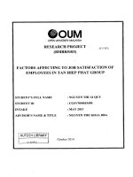 Factors affecting to job satisfaction of employees in tan hiep phat group 