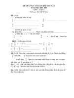 De thi Dinh ki lan 1  Nam hoc 2012  2013