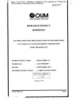 Factors affecting job satisfaction of the employees at VN dong tay nam investment corporation in ho chi minh city 