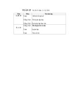 giao an buoi chieu lop 2 tuan 15 nam 2011