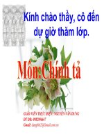 Bai hat trong cay tuan31