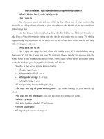 Tải Giáo án thể hình 3 ngày một tuần dành cho người mới tập (Phần 1) - Giáo án tập gym cho người mới bắt đầu