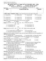 Đề Kiểm tra 45 phút Hóa học lớp 11 lần 2 HK II Năm học 2015-2016