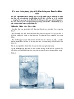 Tải Các mẹo thông dụng giúp triệt tiêu những cơn đau đầu kinh niên - Các bí quyết trị đau đầu kinh niên