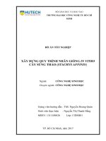 Xây dựng quy trình nhân giống in vitro cây sùng thảo stachys affinis 