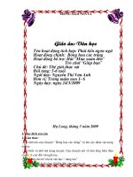 truyen bong hoa cuc trang