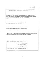 Developing a marketing plan for house chore services at 100 plus company limited 