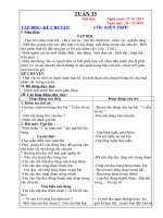 GIÁO ÁN LỚP 3 TUẦN 33
