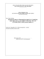 Đánh giá hoạt tính kháng khuẩn và kháng oxy hóa của cao chiết ethanol 70% từ cây bồ công anh lactuaca indica 