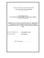 Nghiên cứu các yếu tố ảnh hưởng đến quá trình trích ly tinh dầu củ gừng zingiber officinale roscoe xác định thành phần hóa học và khảo sát một số hoạt tính sinh học 