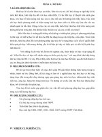 skkn  trang thơ  văn  hoàng thị hoà  thư viện giáo dục tỉnh quảng trị